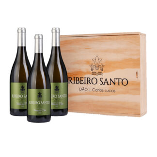 Conjunto Vinho Ribeiro Santo Branco - Vinha da Neve - 3 garrafas