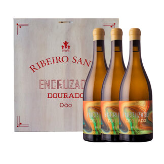 Conjunto Vinho Encruzado Dourado Branco - Ribeiro Santo - 3 garrafas